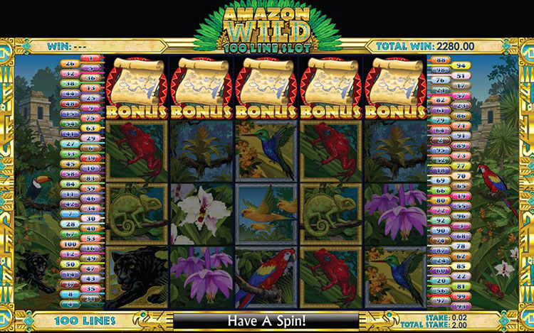 Amazon Wild Slots Slingo