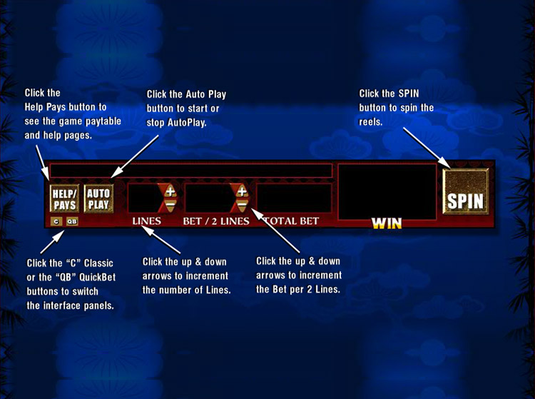 Bruce Lee Slots Slingo Game