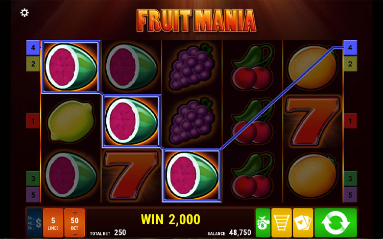 Fruit Mania Slots Slingo