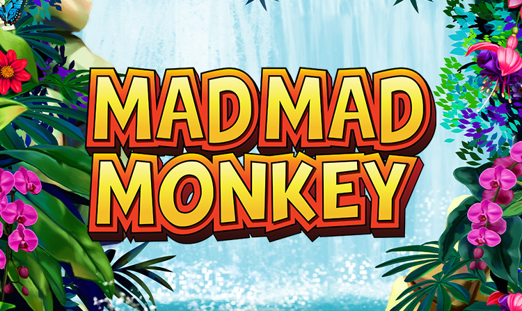 Mad Mad Monkey