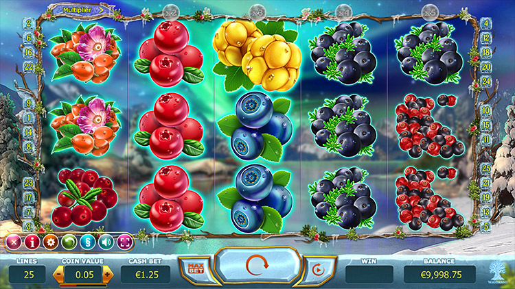 Winterberries