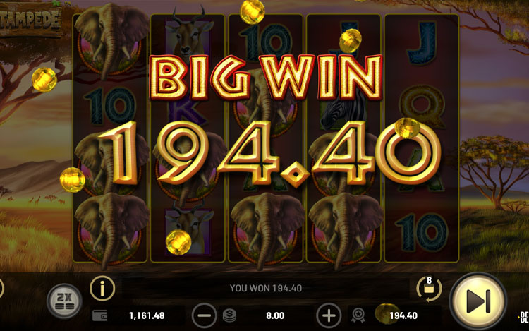 Stampede Slots Slingo